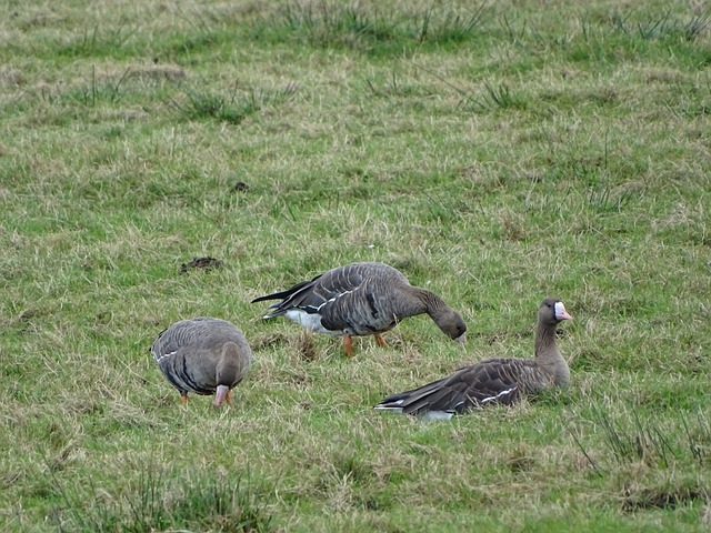 巴列尔迪：对我们这一代人来说，梅西就是足球的代名词